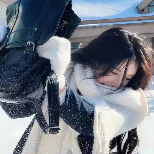 爱的两极
