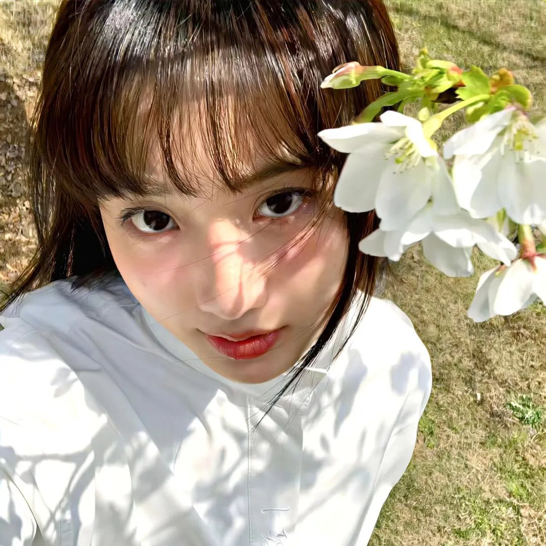 吸血家族汤普森
